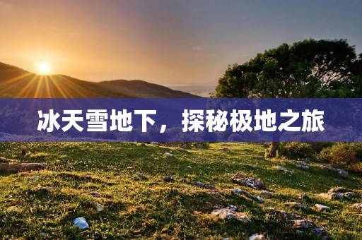 冰天雪地下,探秘极地之旅 冰天雪地下,探秘极地之旅