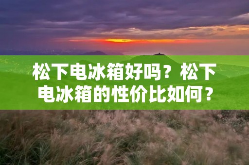 松下电冰箱好吗?松下电冰箱的性价比如何?