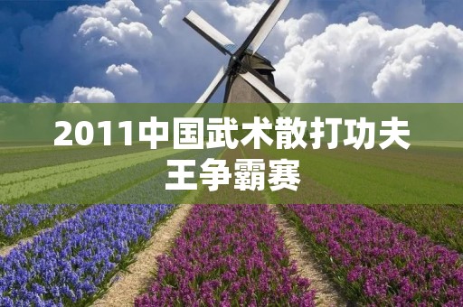 2011中国武术散打功夫王争霸赛 2011中国武术散打功夫王争霸赛