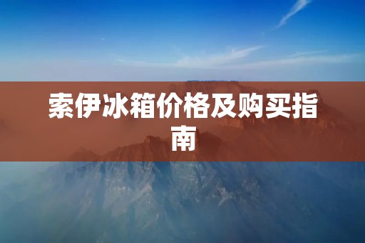 索伊冰箱价格及购买指南