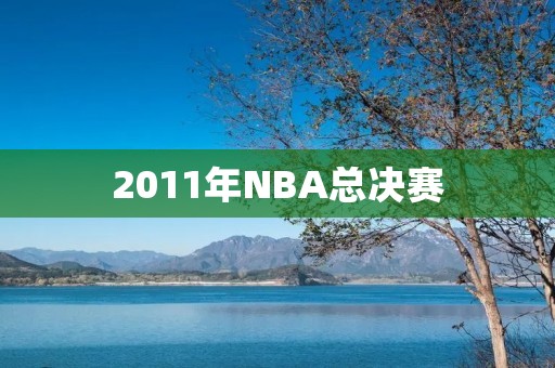 2011年NBA总决赛：热火对小牛