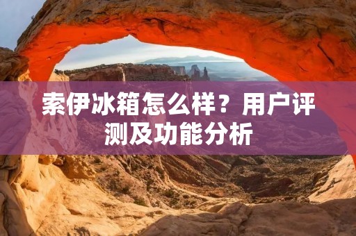 索伊冰箱怎么样?用户评测及功能分析