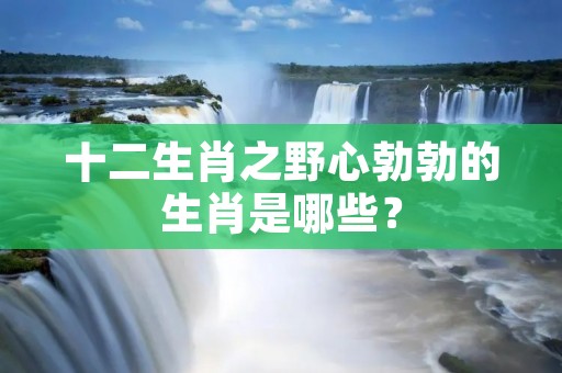 十二生肖之野心勃勃的生肖是哪些？