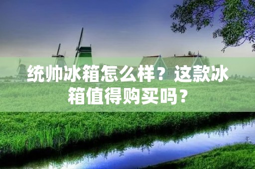 统帅冰箱怎么样?这款冰箱值得购买吗?