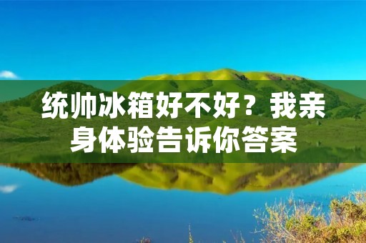 统帅冰箱好不好?我亲身体验告诉你答案