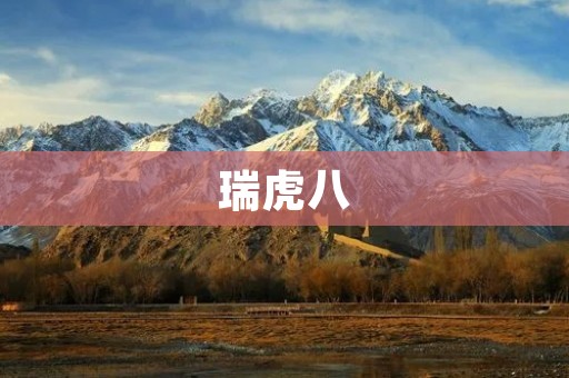 瑞虎八：一款高性价比的家用SUV