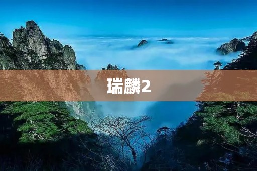 瑞麟2：一款高性能的商务轿车