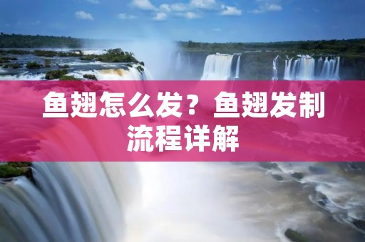 鱼翅怎么发？鱼翅发制流程详解