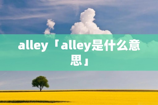 alley「alley是什么意思」 alley「alley是什么意思」