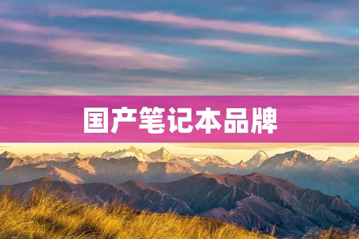 国产笔记本品牌:走向世界的中国制造新力量 国产笔记本品牌:走向世界的中国制造新力量
