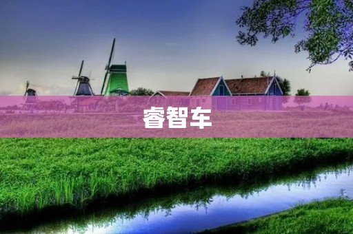 睿智车:智能驾驶的未来 睿智车:智能驾驶的未来
