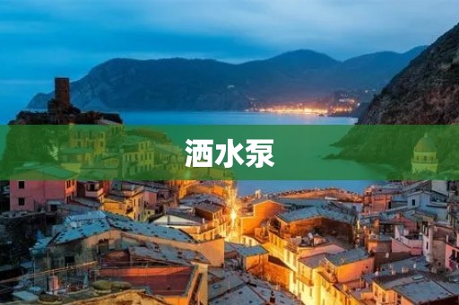 洒水泵：让城市更清洁、更美丽
