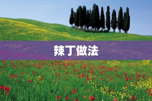 辣丁做法:让你在家也能轻松享受地道的拉丁美食 辣丁做法:让你在家也能轻松享受地道的拉丁美食