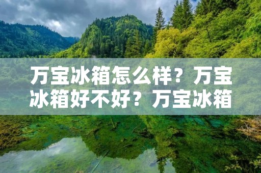 万宝冰箱怎么样?万宝冰箱好不好?万宝冰箱评测