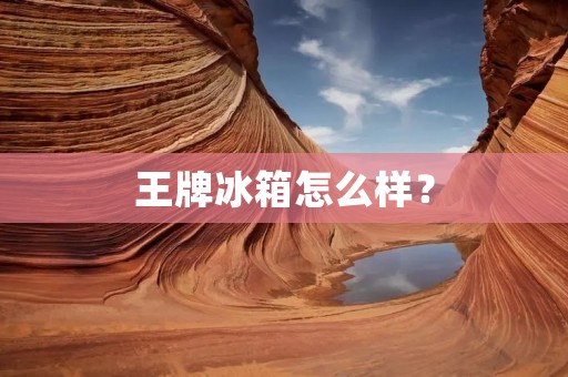 王牌冰箱怎么样?