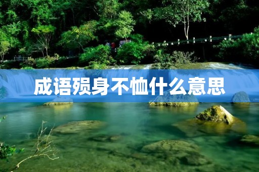 成语殒身不恤什么意思