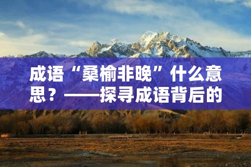 成语“桑榆非晚”什么意思？——探寻成语背后的文化内涵