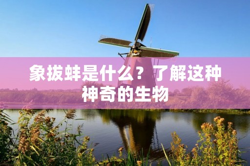 象拔蚌是什么?了解这种神奇的生物 象拔蚌是什么?了解这种神奇的生物