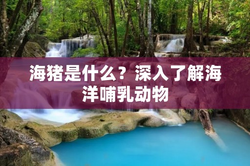 海猪是什么?深入了解海洋哺乳动物 海猪是什么?深入了解海洋哺乳动物