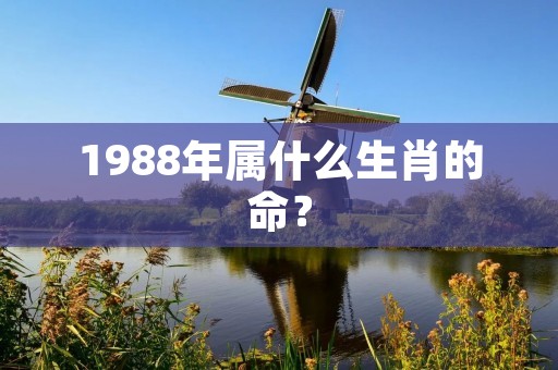 1988年属什么生肖的命？