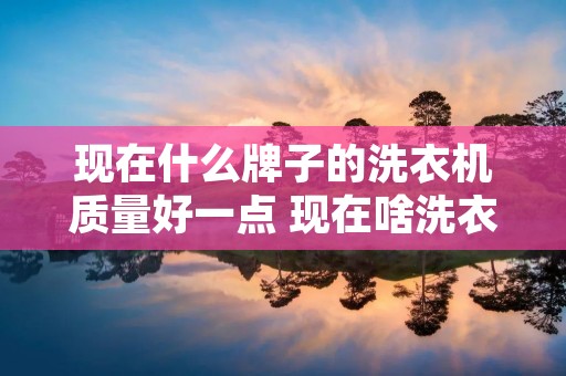 现在什么牌子的洗衣机质量好一点 现在啥洗衣机好用
