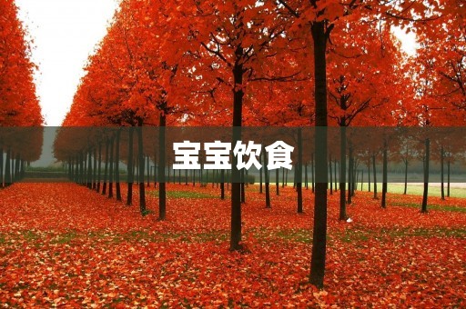 宝宝饮食：如何让宝宝健康成长