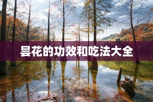 昙花的功效和吃法大全