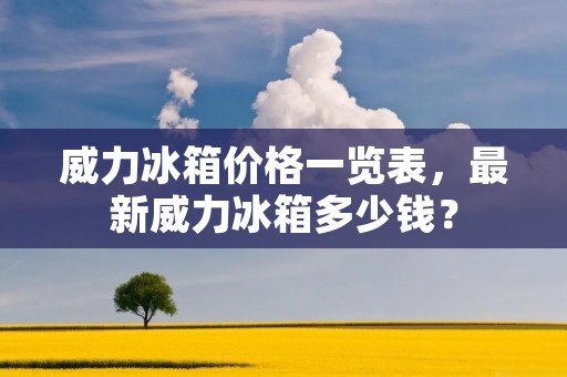 威力冰箱价格一览表,最新威力冰箱多少钱?