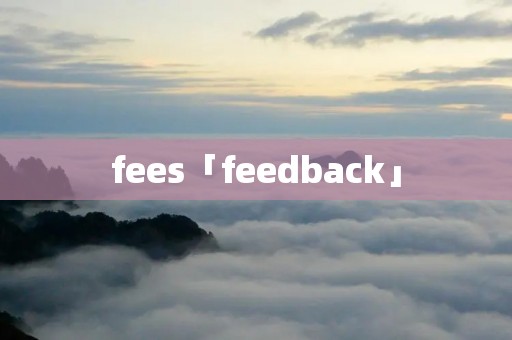 fees「feedback」 fees「feedback」