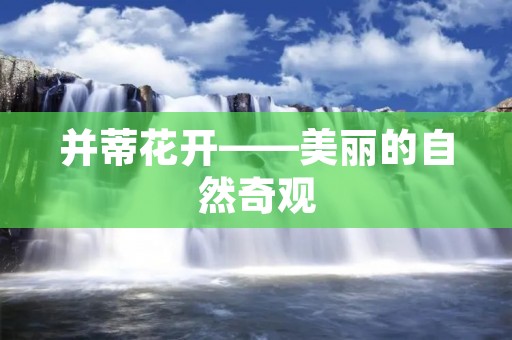 并蒂花开——美丽的自然奇观 并蒂花开——美丽的自然奇观