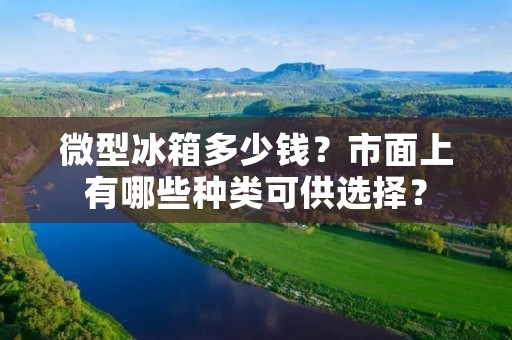 微型冰箱多少钱?市面上有哪些种类可供选择?