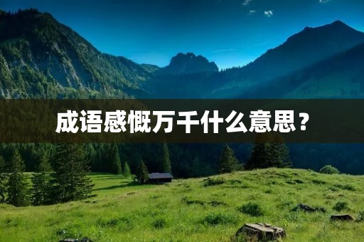 成语感慨万千什么意思？