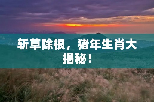 斩草除根，猪年生肖大揭秘！