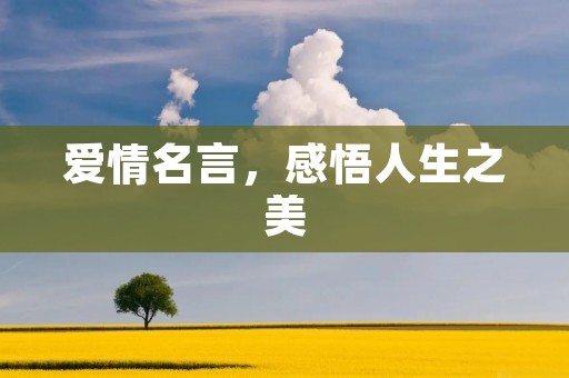 爱情名言,感悟人生之美