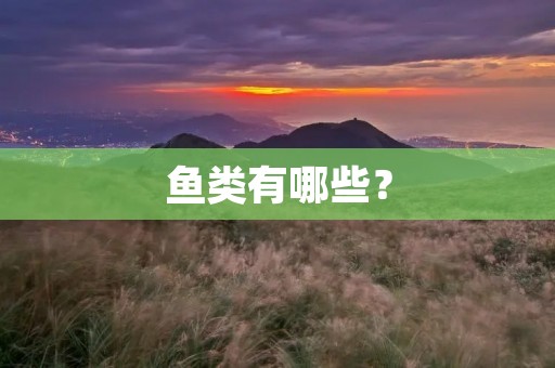 鱼类有哪些？