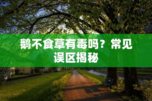 鹅不食草有毒吗？常见误区揭秘
