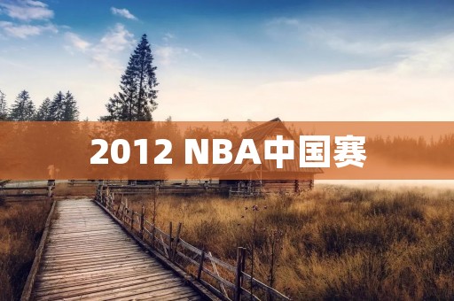 2012 NBA中国赛：巨星云集的篮球盛宴
