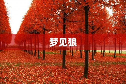 梦见狼：预示着什么？
