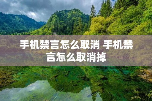 手机禁言怎么取消 手机禁言怎么取消掉