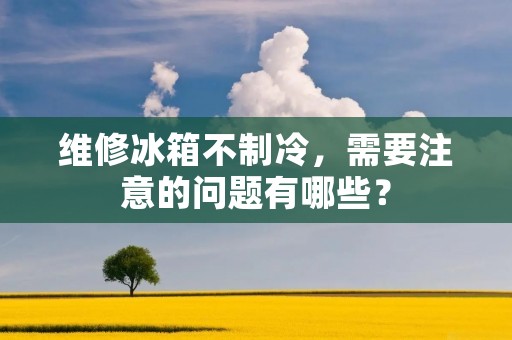 维修冰箱不制冷,需要注意的问题有哪些?