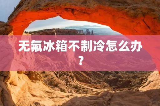 无氟冰箱不制冷怎么办?