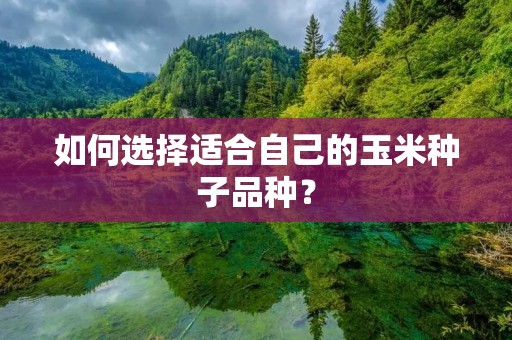 如何选择适合自己的玉米种子品种？