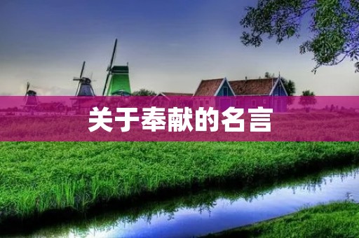 关于奉献的名言