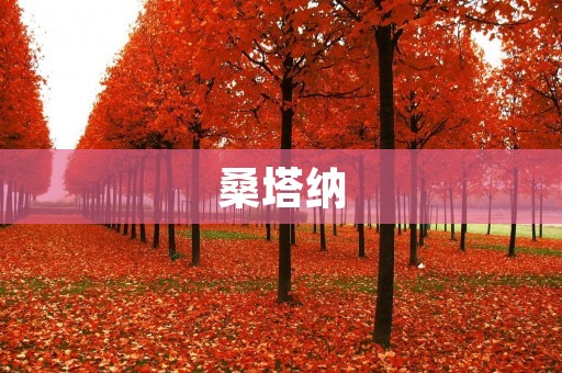 桑塔纳:中国汽车市场的缩影 桑塔纳:中国汽车市场的缩影