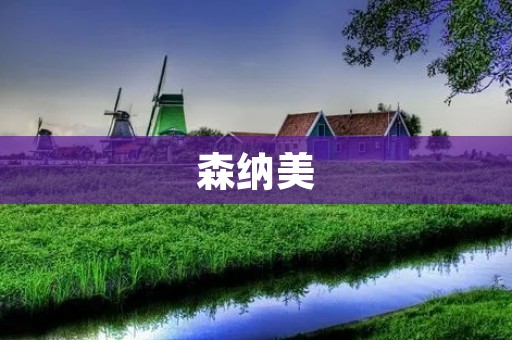 森纳美:让肌肤重焕活力的美容品牌 森纳美:让肌肤重焕活力的美容品牌
