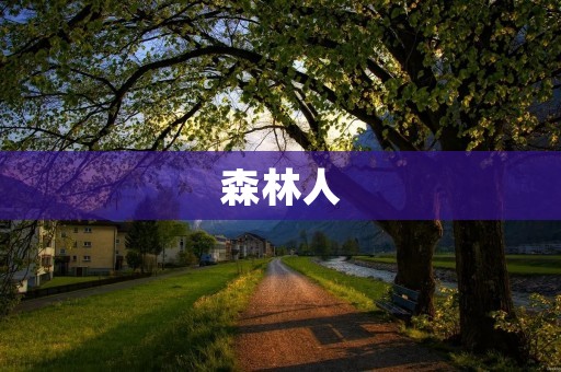 森林人：探索自然之美，追求自由之心