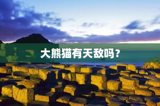 大熊猫有天敌吗？