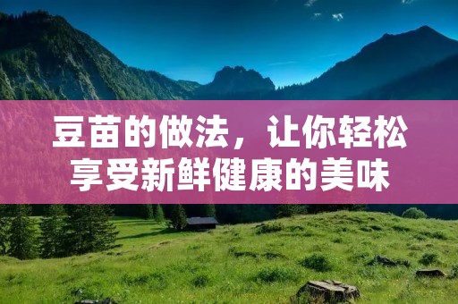 豆苗的做法，让你轻松享受新鲜健康的美味