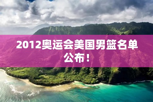 2012奥运会美国男篮名单公布！