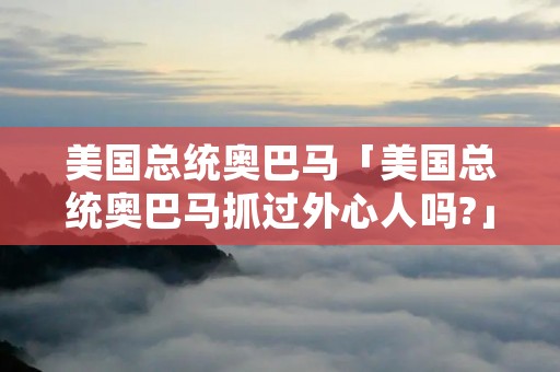 美国总统奥巴马「美国总统奥巴马抓过外心人吗?」